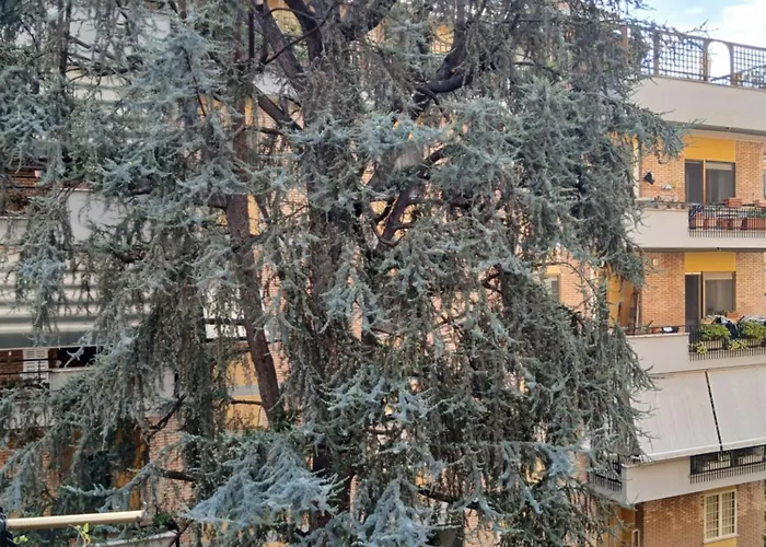 La Casa Di Antonella E Giuseppe * Rom